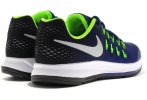 Nike Air Zoom Pegasus 33