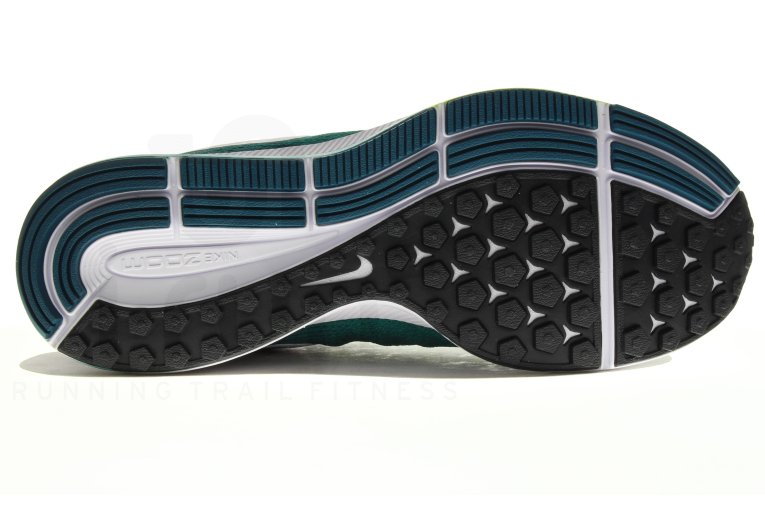 Nike Air Zoom Pegasus 33