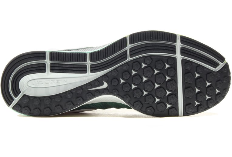 Nike Air Zoom Pegasus 33