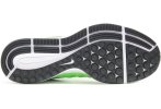 Nike Air Zoom Pegasus 33
