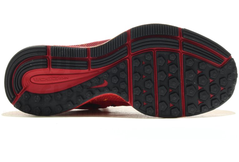 Nike Air Zoom Pegasus 33 Shield