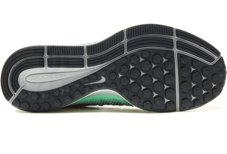 Nike Air Zoom Pegasus 33 Shield