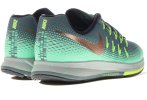 Nike Air Zoom Pegasus 33 Shield