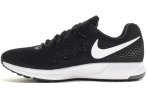 Nike Air Zoom Pegasus 33