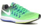 Nike Air Zoom Pegasus 33