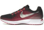 Nike Air Zoom Pegasus 34 GEM