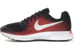 Nike Air Zoom Pegasus 34