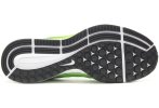 Nike Air Zoom Pegasus 34