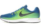 Nike Air Zoom Pegasus 34