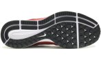 Nike Air Zoom Pegasus 34