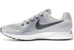 Nike Air Zoom Pegasus 34