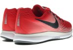 Nike Air Zoom Pegasus 34