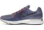 Nike Air Zoom Pegasus 34