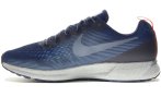 Nike Air Zoom Pegasus 34 Shield