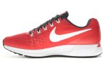 Nike Air Zoom Pegasus 34 TB