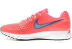 Nike Air Zoom Pegasus 34
