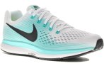 Nike Air Zoom Pegasus 34