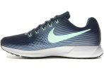 Nike Air Zoom Pegasus 34