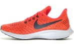 Nike Air Zoom Pegasus 35 GS