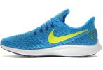 Nike Air Zoom Pegasus 35