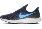 Nike Air Zoom Pegasus 35