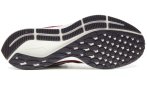Nike Air Zoom Pegasus 35