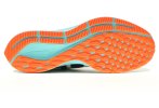 Nike Air Zoom Pegasus 36 Ekiden