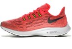 Nike Air Zoom Pegasus 36
