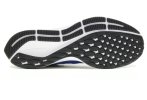 Nike Air Zoom Pegasus 36