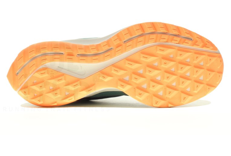 Nike Air Zoom Pegasus 36 Trail Gore-Tex