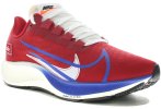 Nike Air Zoom Pegasus 37 BRS Herren