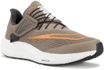 Nike Air Zoom Pegasus 39 FlyEase