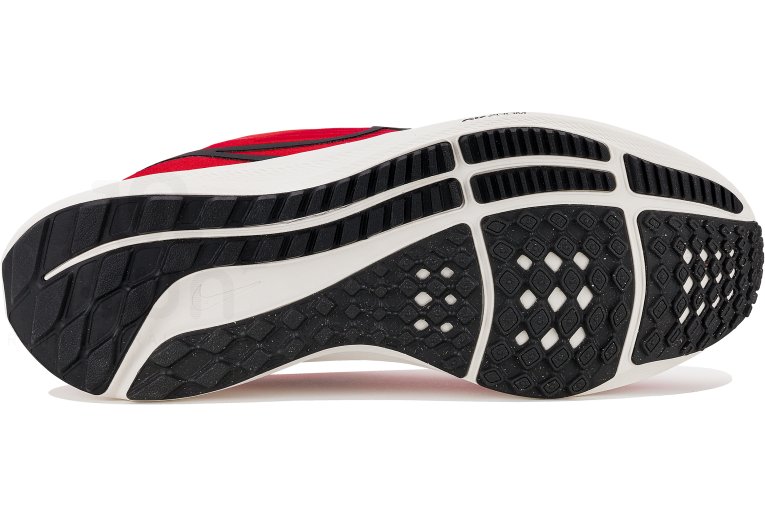 Nike Air Zoom Pegasus 39