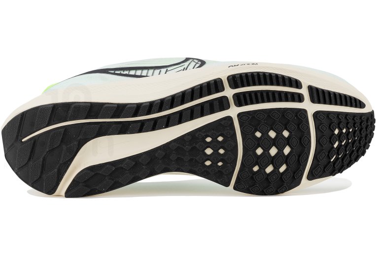 Nike Air Zoom Pegasus 39