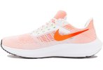 Nike Air Zoom Pegasus 39