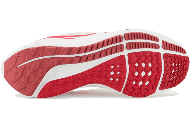 Nike Air Zoom Pegasus 39