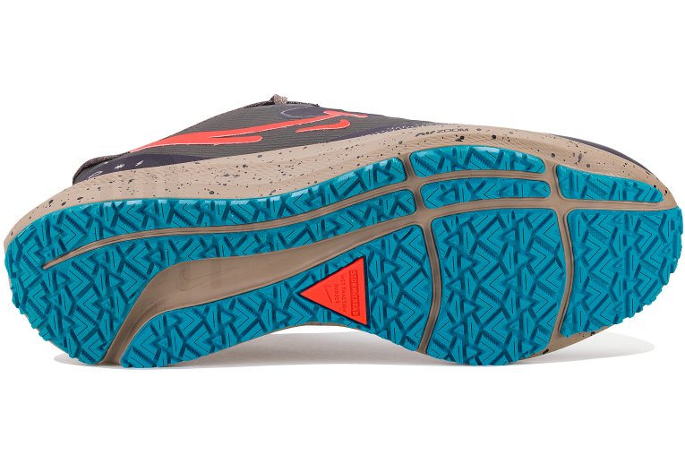 Nike Air Zoom Pegasus 39 Shield Herren