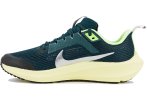 Nike Air Zoom Pegasus 40 Junior
