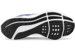 Nike Air Zoom Pegasus 40 Herren