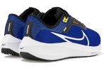 Nike Air Zoom Pegasus 40 Herren