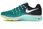 Nike Air Zoom Structure 19