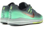 Nike Air Zoom Structure 20 Shield