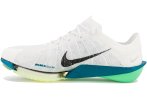 Nike Air Zoom Victory 2