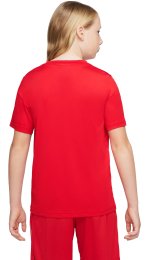 Nike Dri-Fit HBR