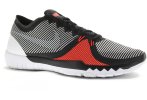 Nike Free Trainer 3.0 V4