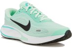 Nike Journey Run
