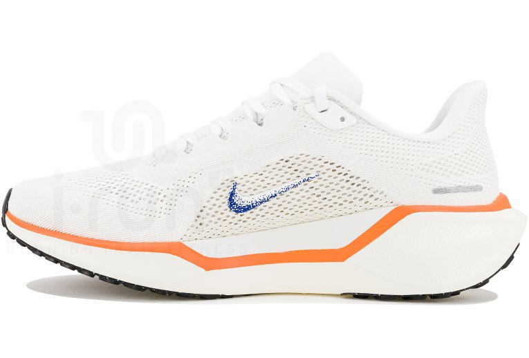 Nike Pegasus 41