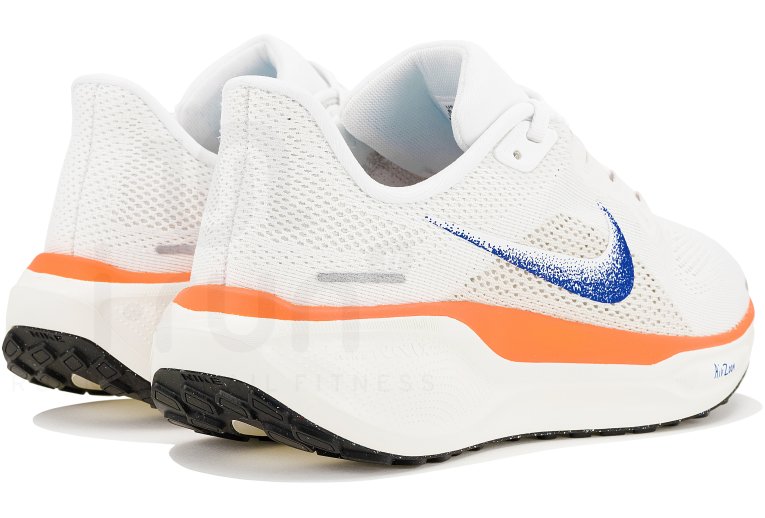Nike Pegasus 41