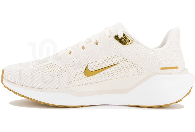 Nike Pegasus 41 Damen