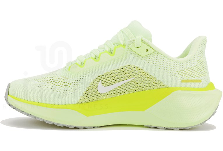 Nike Pegasus 41 Damen
